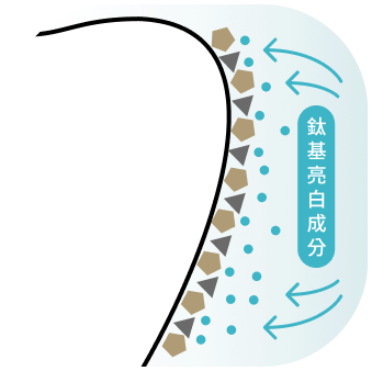 噴塗二氧化鈦為原料的亮白溶劑覆蓋齒面。